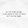 bright daylight