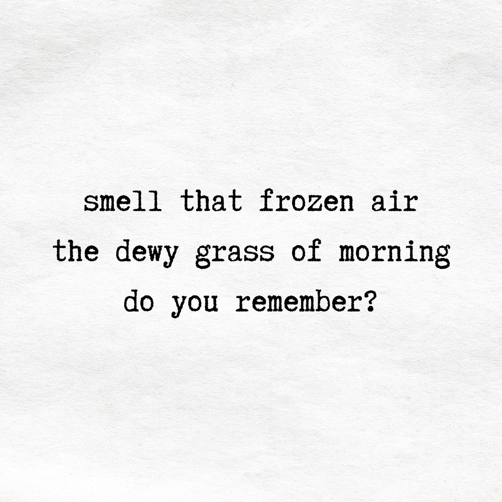 frozen air