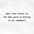frozen air