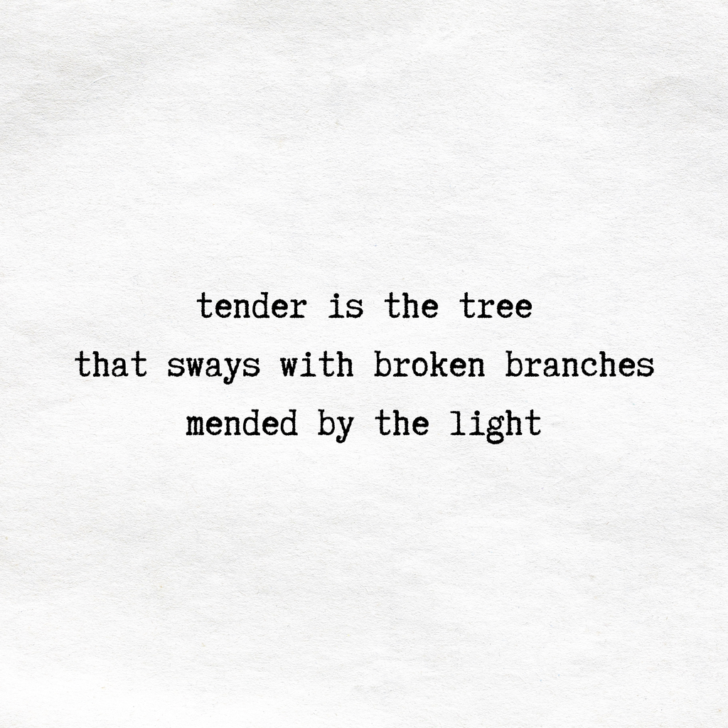 broken branches