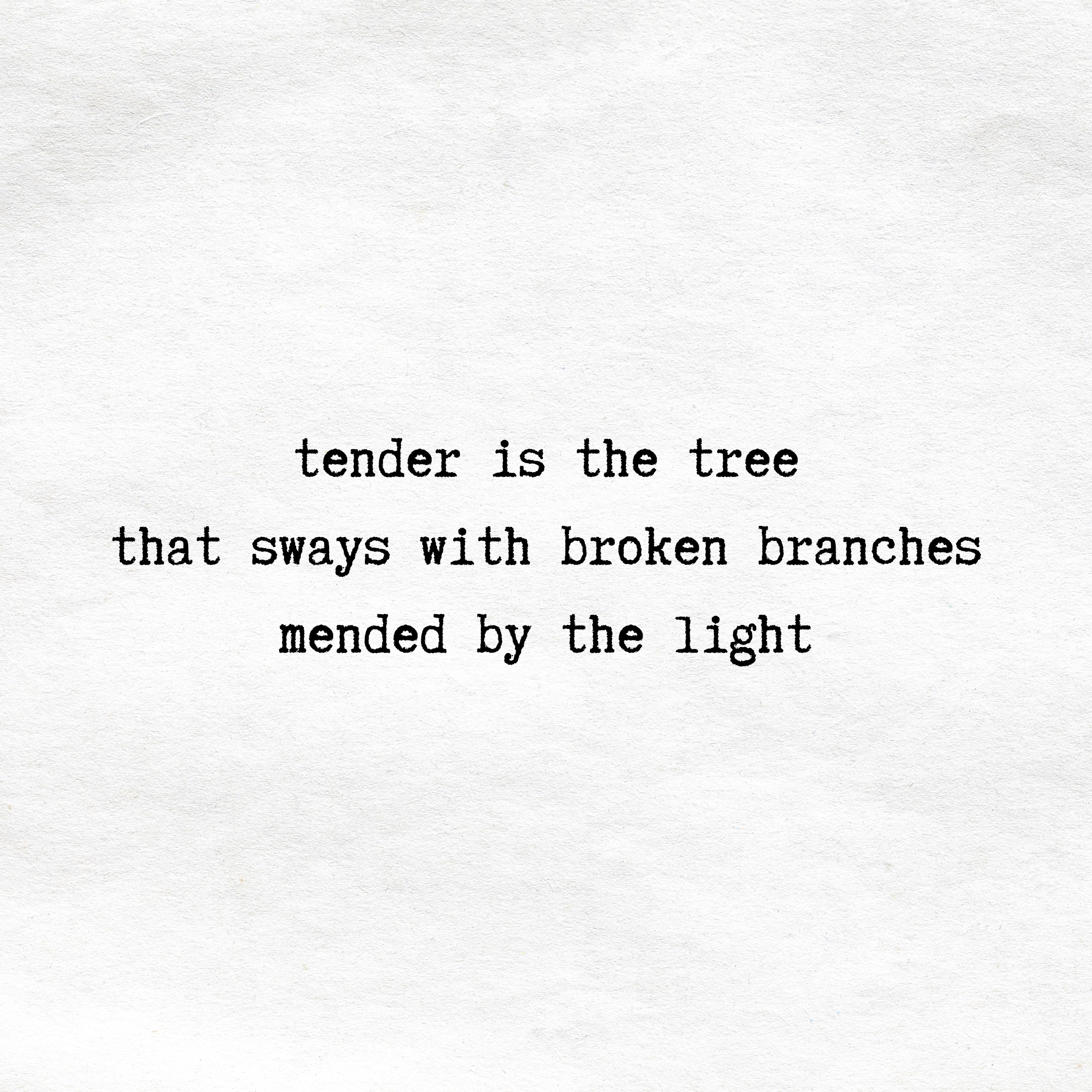 broken branches